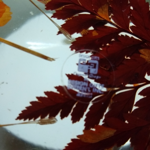 GORGEOUS VTG Acrylic/resin Devill Eggs or Escargot Footed Plate Pressed flowers - Picture 5 of 7